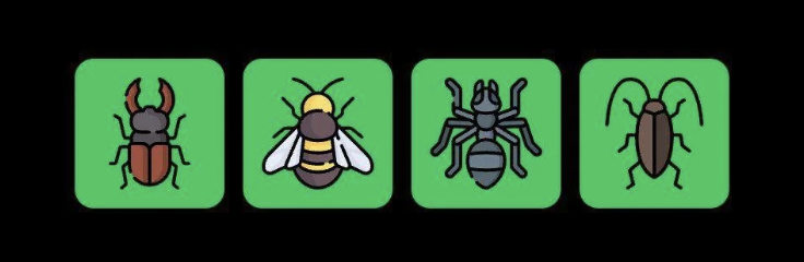 FLIES Daily Combo 28 March 2025
